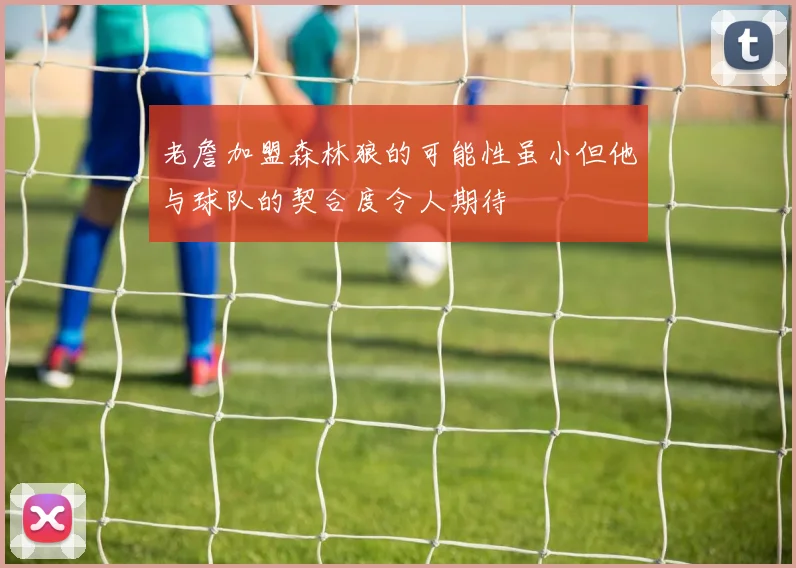 老詹加盟森林狼的可能性虽小但他与球队的契合度令人期待