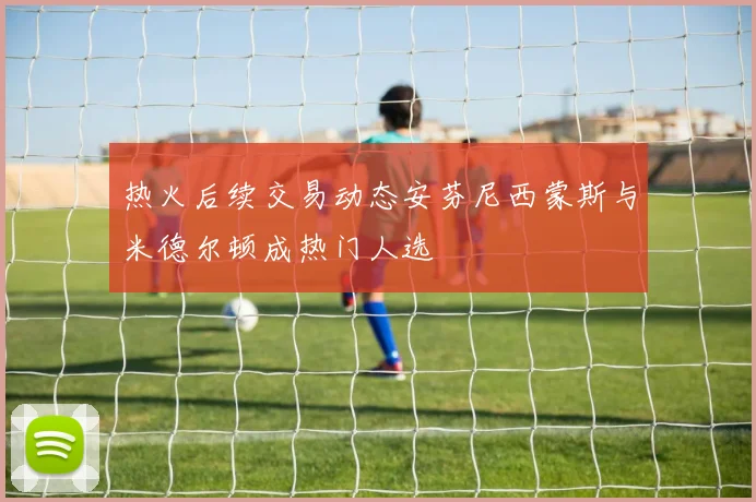 热火后续交易动态安芬尼西蒙斯与米德尔顿成热门人选